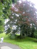 Klicke f�r Voll Darstellung